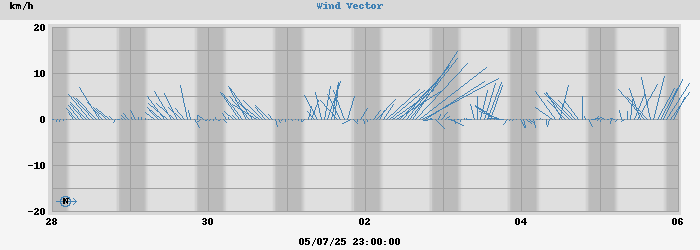 Wind Vector